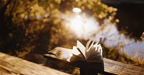 厦门书店有哪些值得去,厦门有哪些值得一去的书店