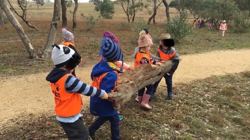 国外和国内的育儿方式,中国和西方育儿区别是什么