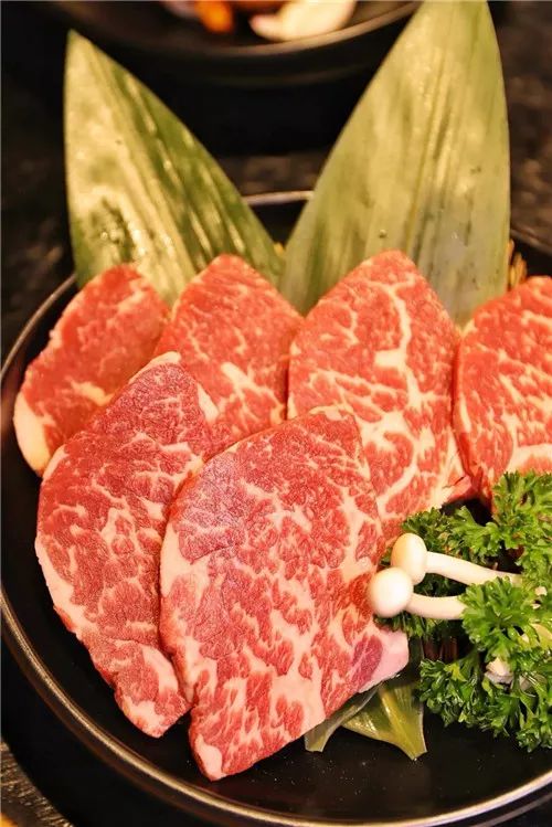 九田家9.9抵100的优惠券团购,九田家9.9抵100的优惠券唐山