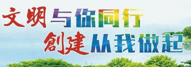 全国校园足球试点学校名单,阜南青少年校园足球队