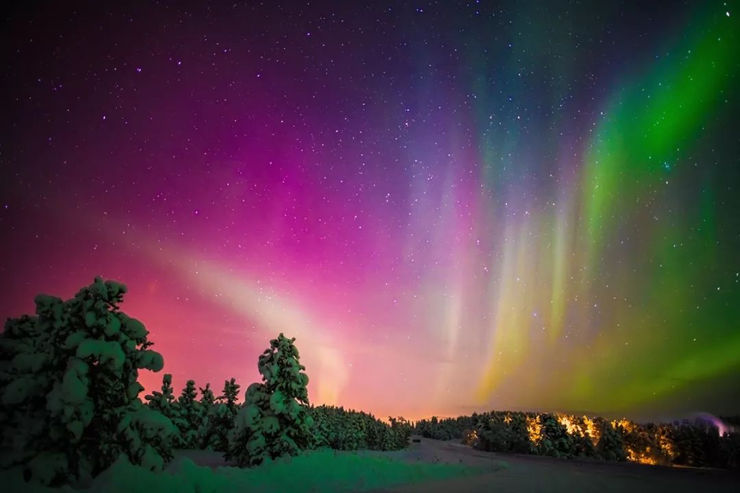 为什么我们迷恋恐龙,为什么我们痴迷篮球