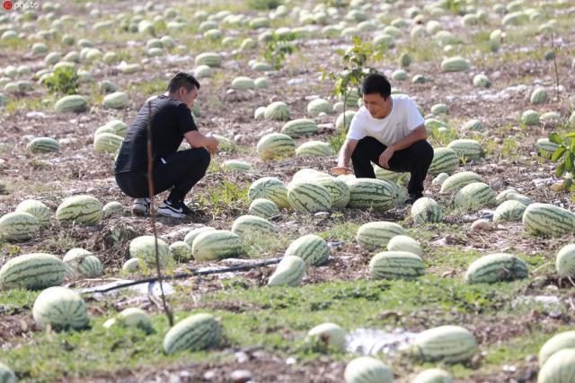 瀹佸瑗跨摐浠婂勾鐘跺喌,鐢樿們瑗跨摐婊為攢鐜扮姸