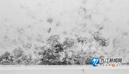 卧室墙体浸水,7天才找到“病根”马桶渗水房屋遭殃,损失谁担?