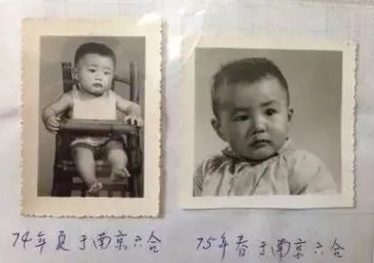 为什么朴树这么火,为什么朴树价格这么高