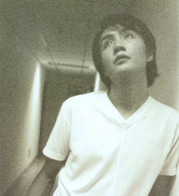 为什么朴树这么火,为什么朴树价格这么高