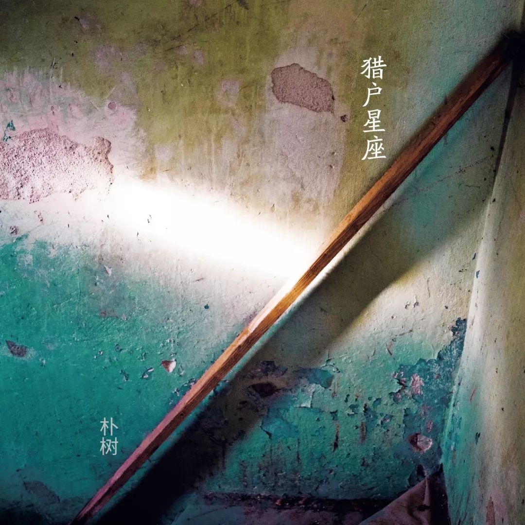 为什么朴树这么火,为什么朴树弹吉他左手不动