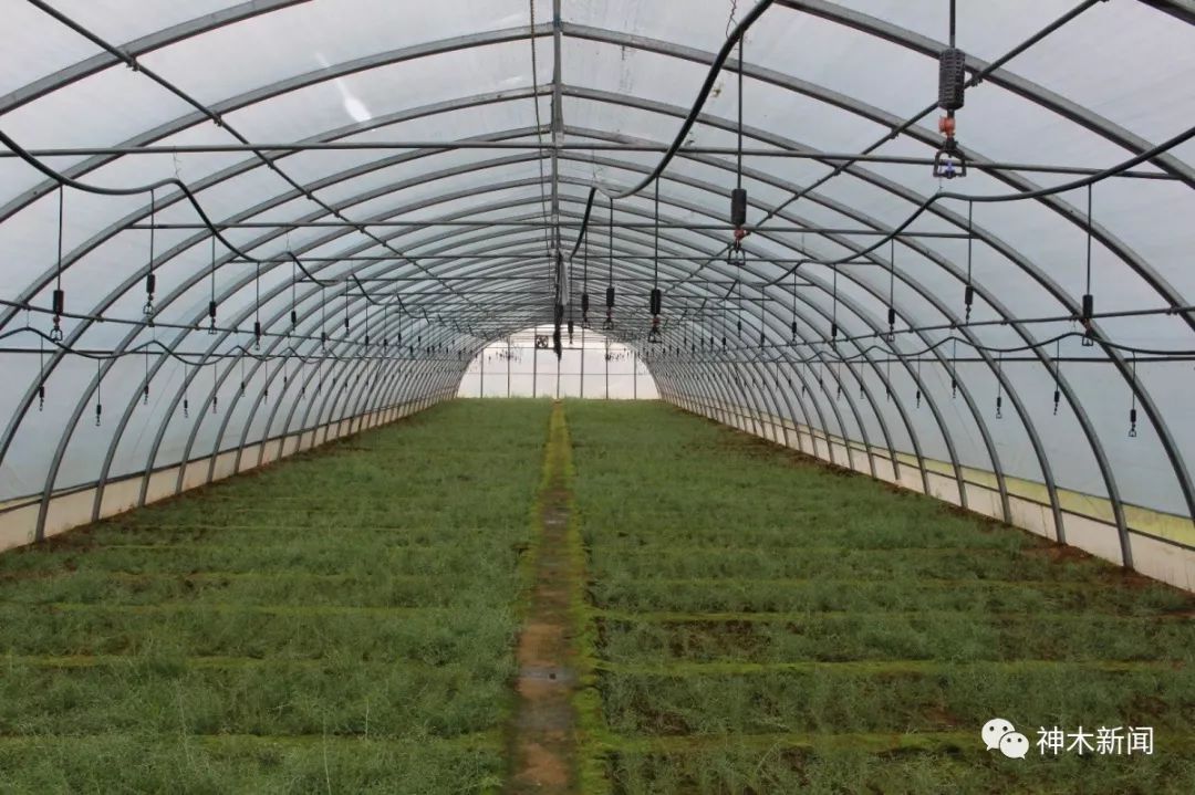 90后小伙子带村民致富,90后小伙带领全村人致富后续