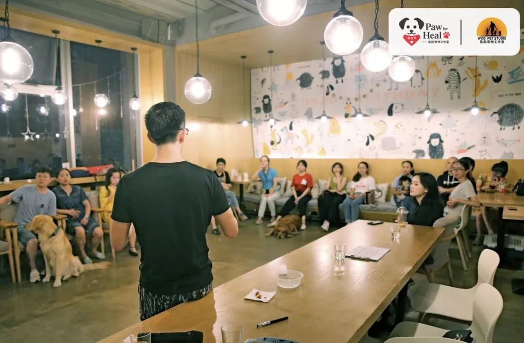 用生命影响生命朗诵央视,用生命影响生命手语朗诵