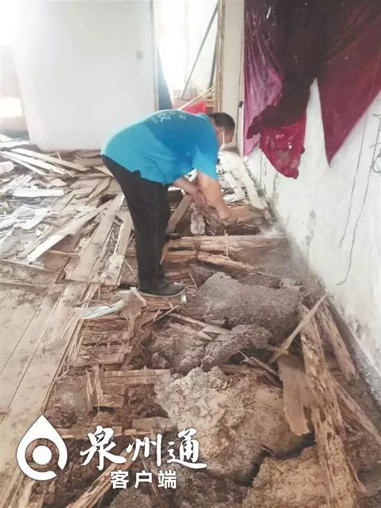 当心有毒虫,夏季当心这6种小虫被咬可能丧命