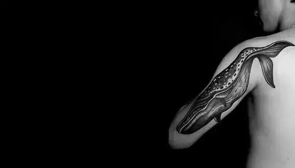 锦鲤体质的音乐家，流量小生都听他的歌