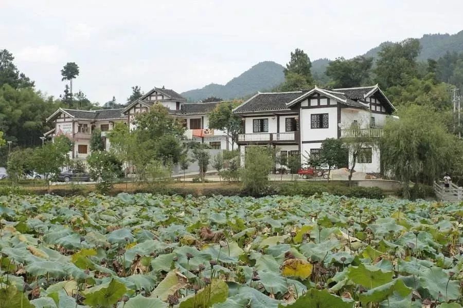 贵州遵义市委书记龙长春罹患癌症卸任：最遗憾脱贫攻坚未告捷