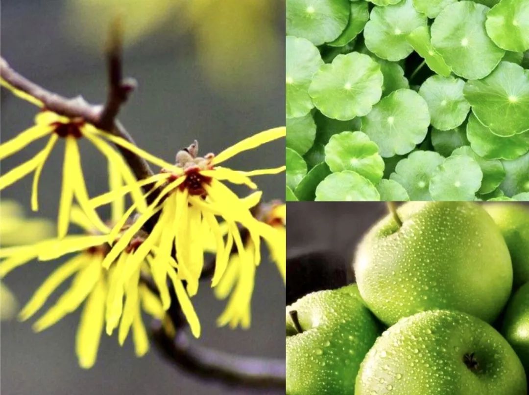 新西兰好用的精华液,新西兰最好用的精华液