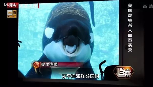 丧心病狂！每帧画面都在捅刀子，多少人忽视了这些人间惨剧…