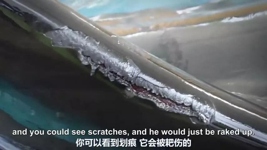 丧心病狂！每帧画面都在捅刀子，多少人忽视了这些人间惨剧…