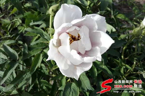 脱贫致富不同道路选择,最好的脱贫致富路子