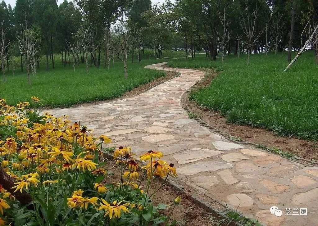 「小说」张俊芳丨小文(一)