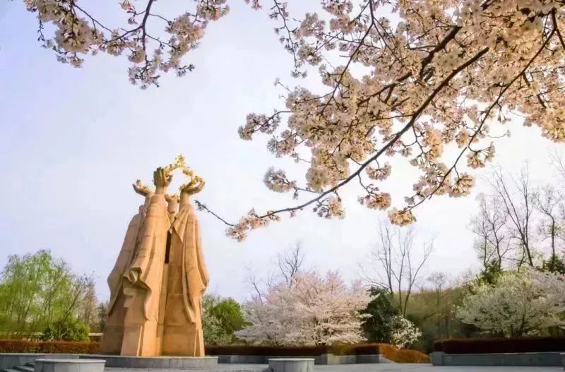 今年五月从上海出发特价机票,连云港特价机票在哪里买便宜