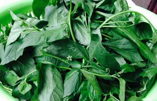 强肝肾强筋骨汤,补气血强筋骨炖汤