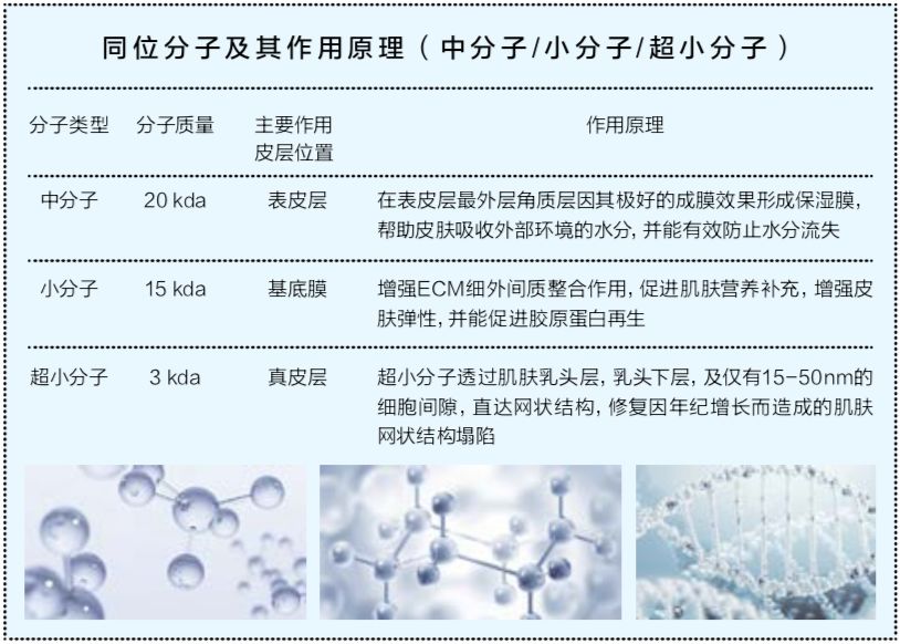 薇诺娜玻尿酸乳液 (德国抗皱玻尿酸原液)