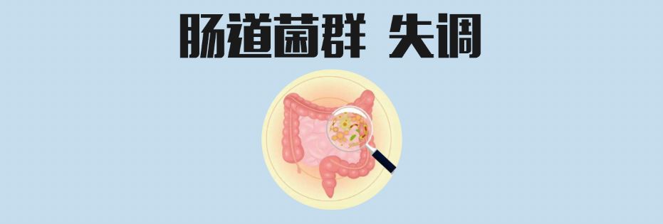 霹雳人妻高情商护夫，稳固地位全靠一身正“气”