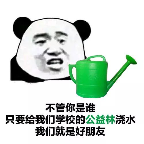 南京工业大学公益林上线，快来浇水种树！