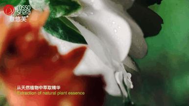 涂层不粘锅怎么开锅养锅,不粘锅的养锅方法