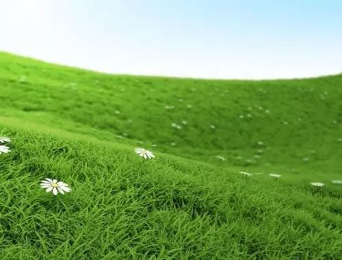 歌曲离离原上草,离离原上草古诗