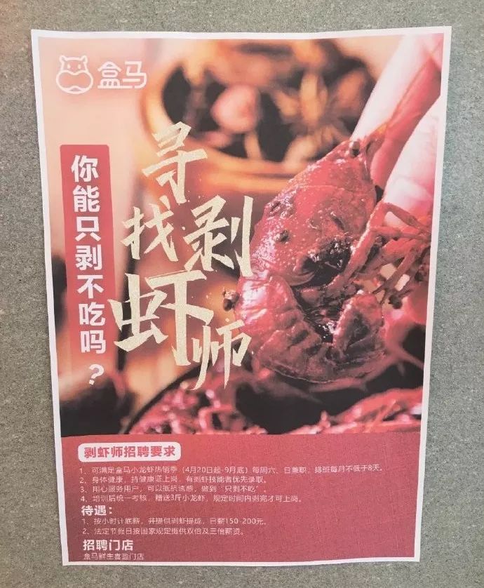 遛狗师一个月挣多少钱,遛狗师一年的工资