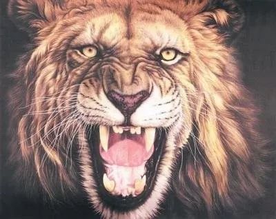 文化标志展示,文化展示展览