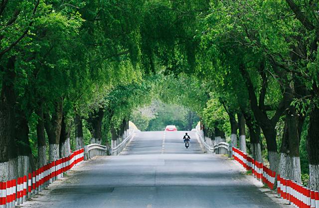 上海松江9号线路名,松江话讲松江历史