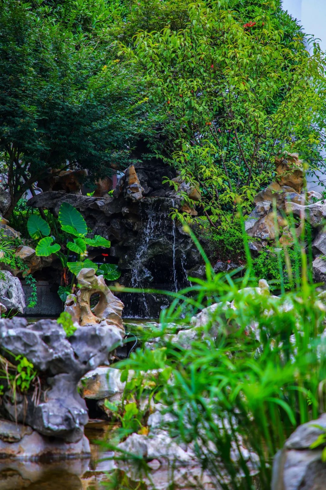 婺源豪华酒店,婺源绝美酒店