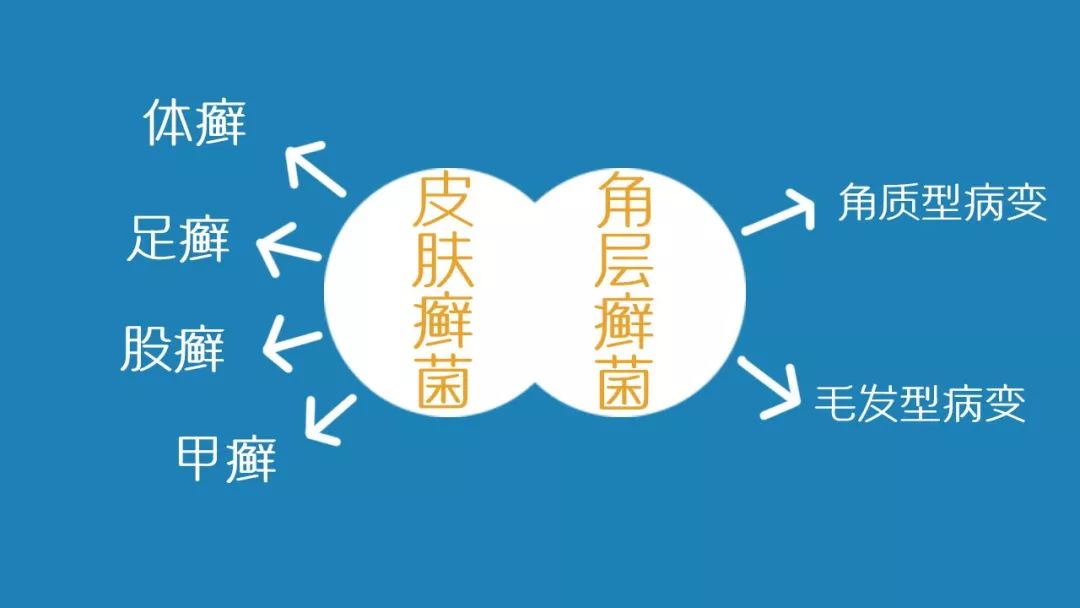 辟谣特工队|脚气——“踢不开的烦恼”