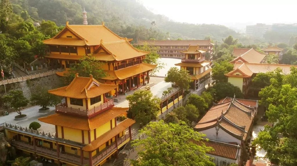 这是一场冰雪世界与海上花园的相遇，期待与你碰撞出不一样的火花~