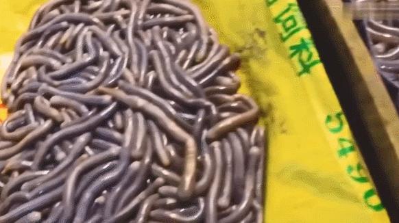 香港tvb经典打卡,香港湛江海鲜