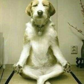 骑行的5个阶段你修炼到哪步啦,骑行记住这几点你就不是菜鸟了