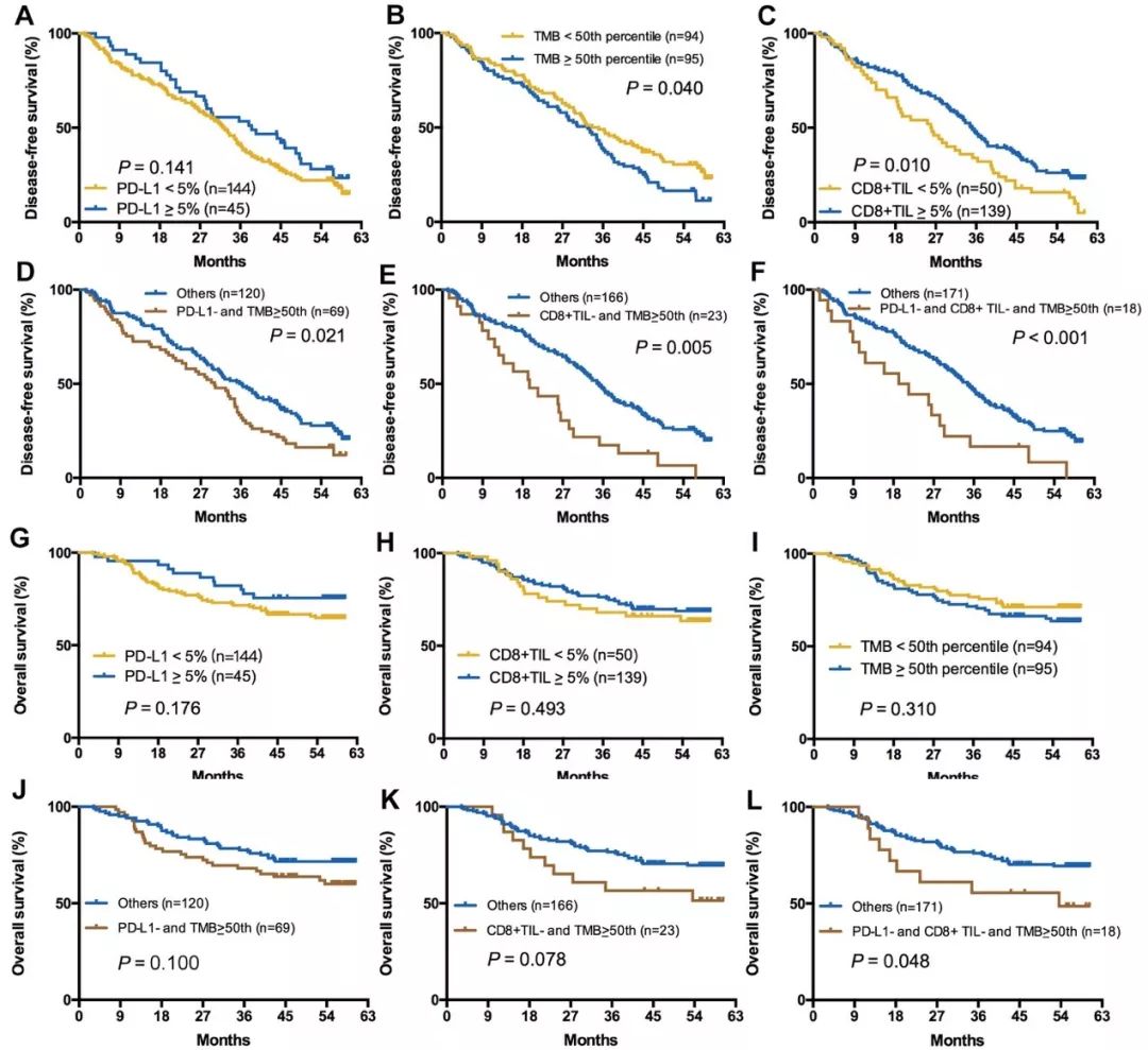 中国治疗肺鳞癌最好中药,中国治疗肺鳞癌最好的办法是什么