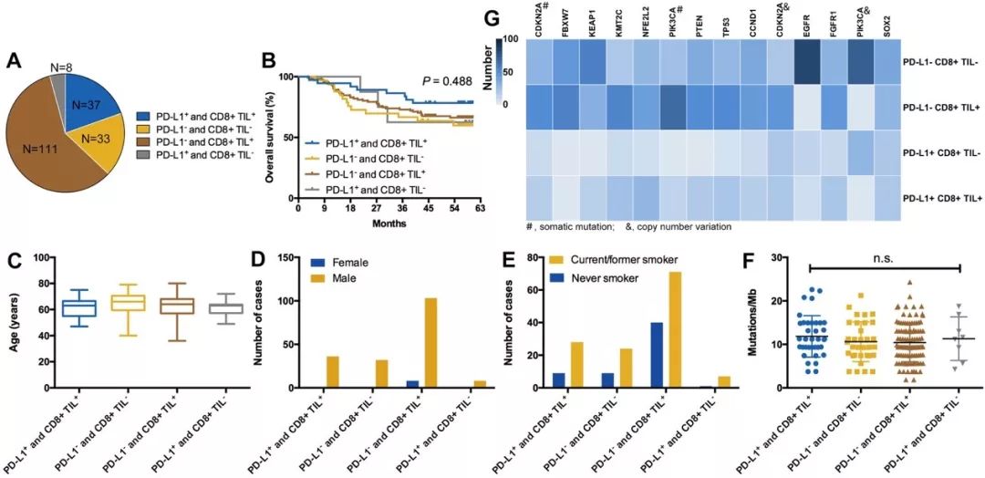 中国治疗肺鳞癌最好中药,中国治疗肺鳞癌最好的办法是什么