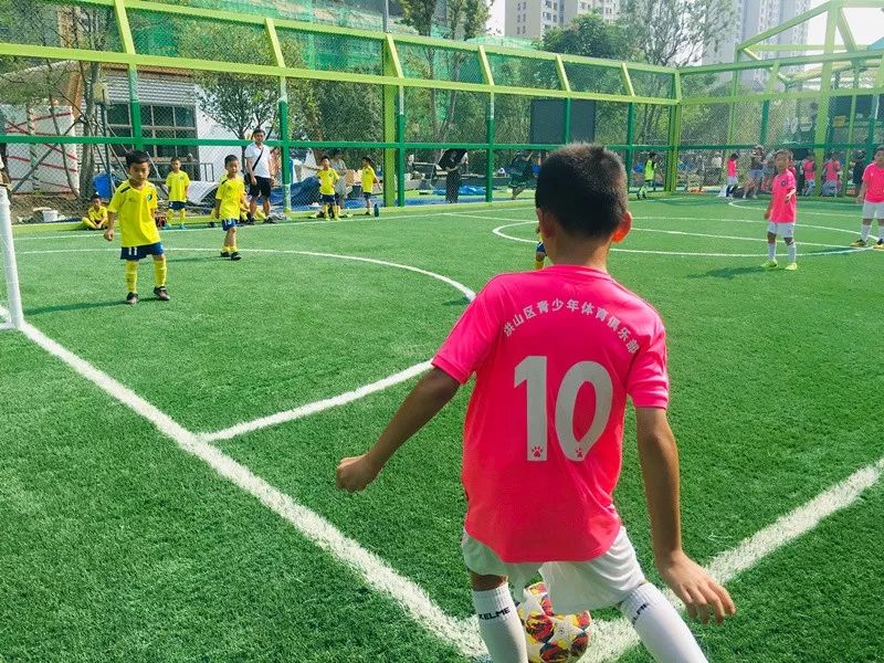 武汉杨春湖社区足球公园,杨春湖足球场