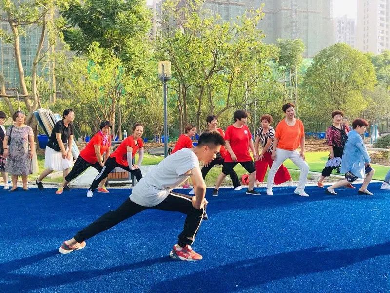 杨春湖社区足球场,洪山区武汉足球主题公园