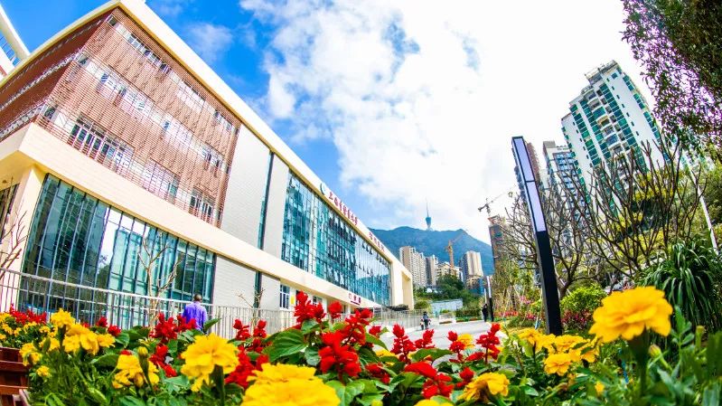 罗湖公立医院改革方案,深圳市罗湖中医院是三甲医院吗