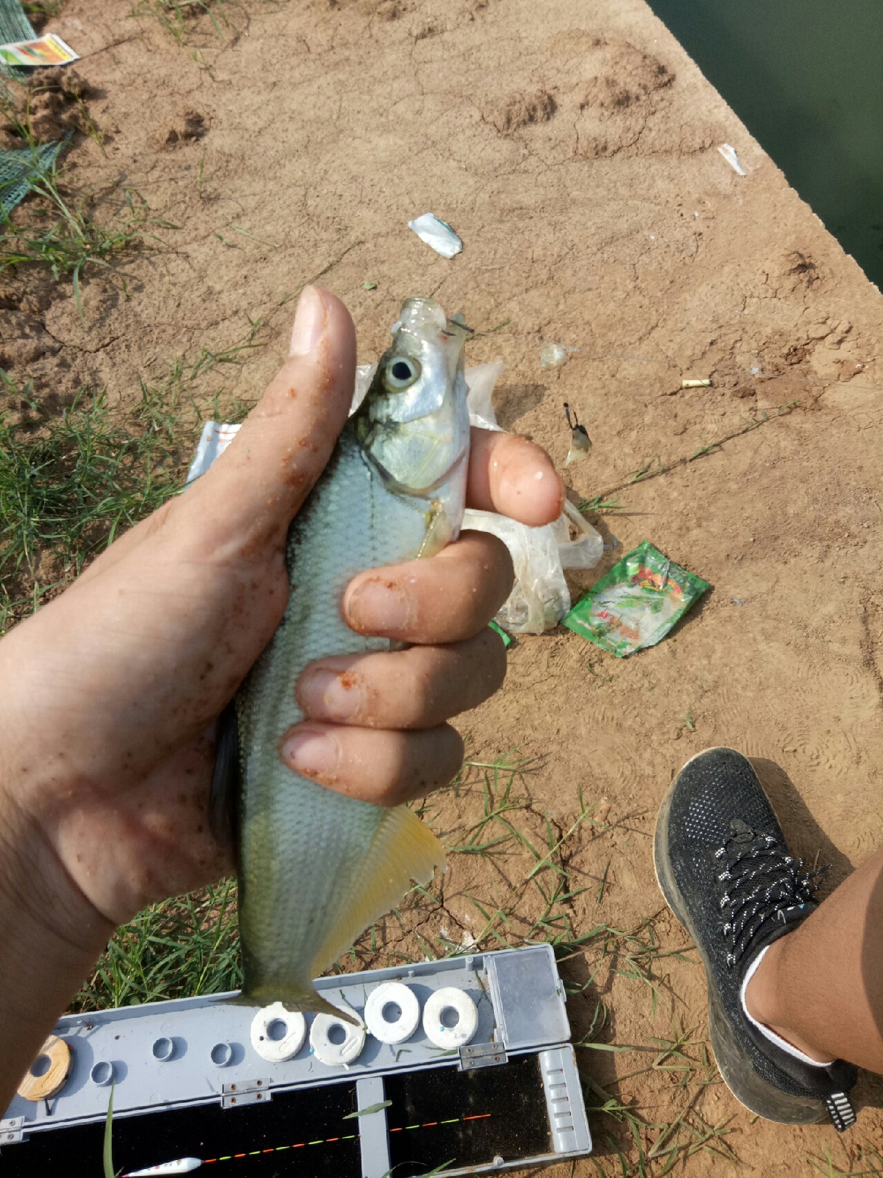 钓鱼人818攻略,钓鱼人开饵料