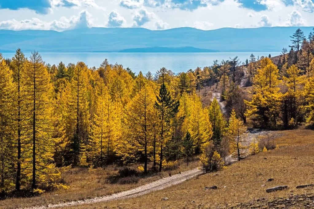 从北京到俄罗斯全过程,北京到俄罗斯沿途风景视频