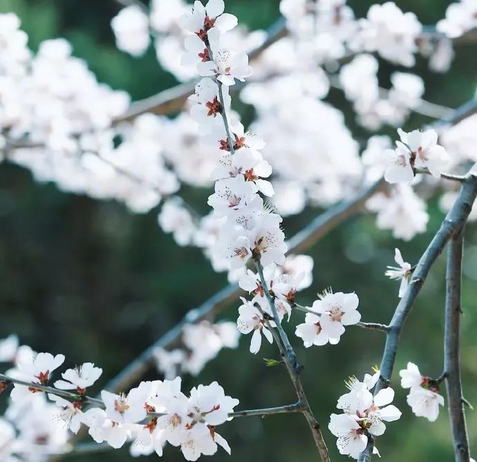 二年级摘抄排比句100条,排比句气势如虹