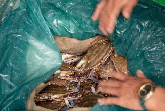 搬来个舟山「海鲜市场」！佛手、胭脂、大米鱼…你爱吃的海鲜从挑到做全get