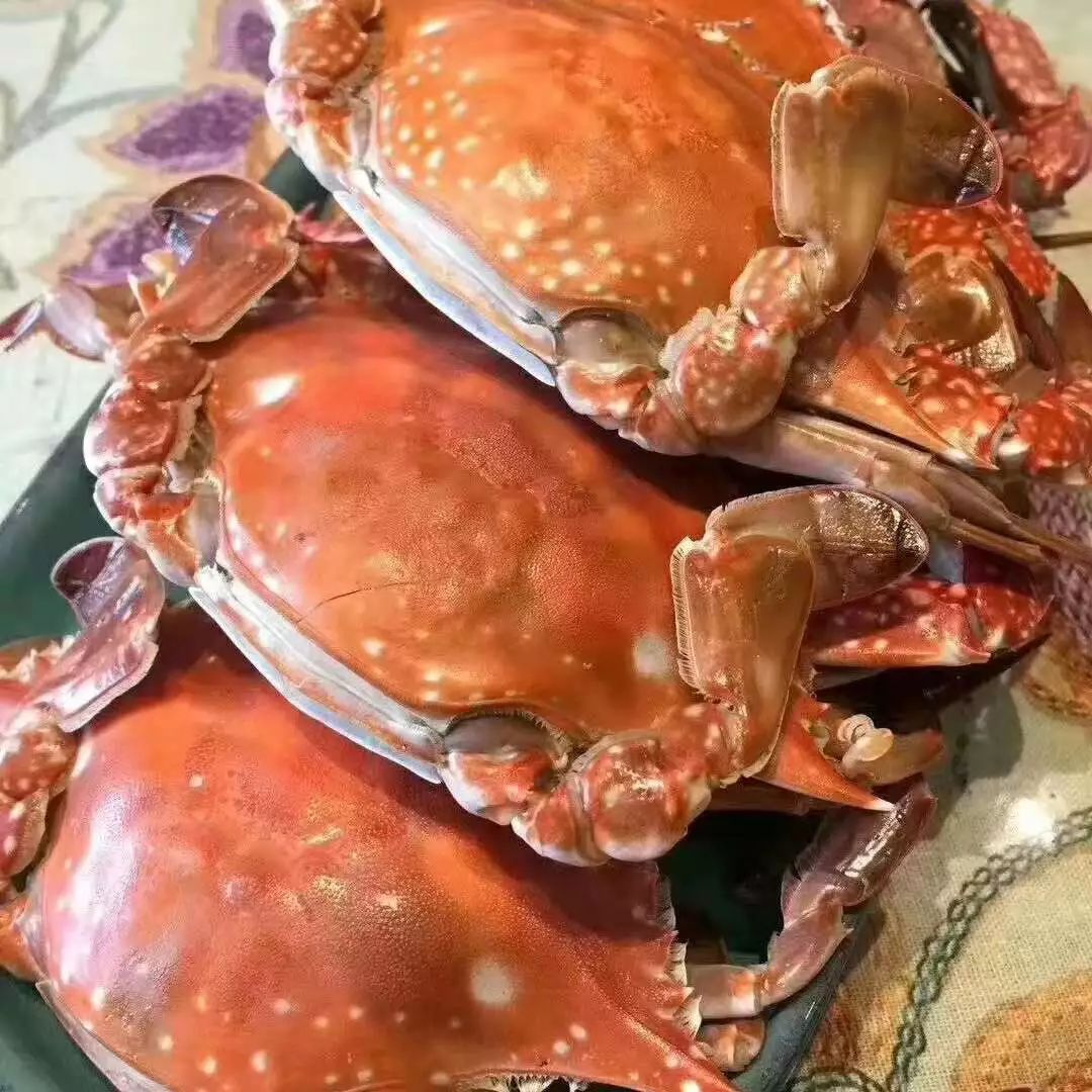 搬来个舟山「海鲜市场」!佛手、胭脂、大米鱼…你爱吃的海鲜从挑到做全get