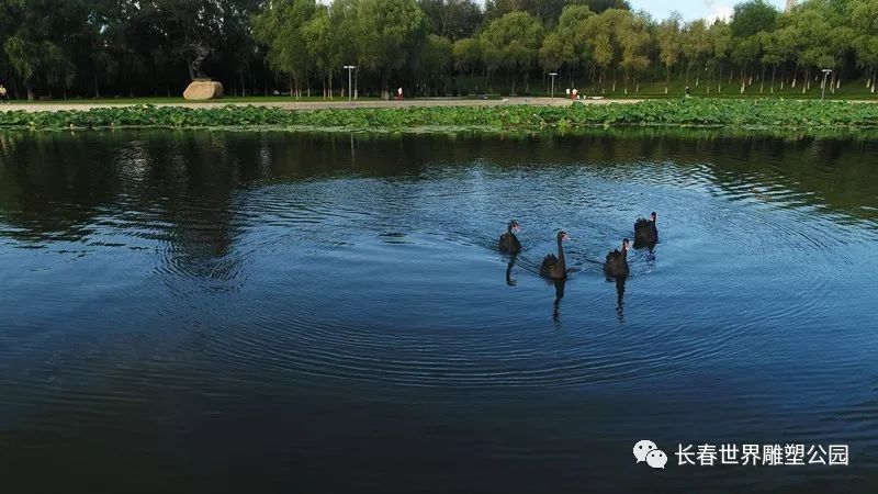 长春博览会门票免费领,2020长春消夏节长春世界雕塑公园