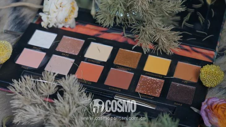 美人计|龙妈竟然用中国眼影化妆？等不及看外国代购来中国买买买了