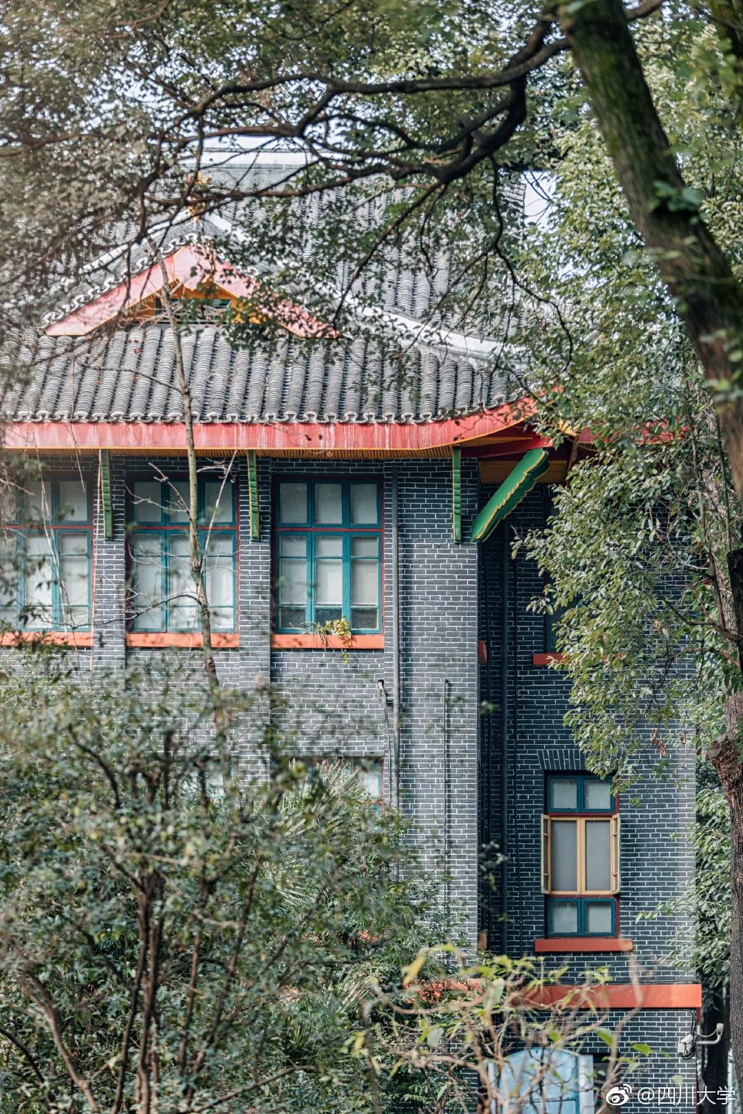 川大学习日常,川大的食宿条件