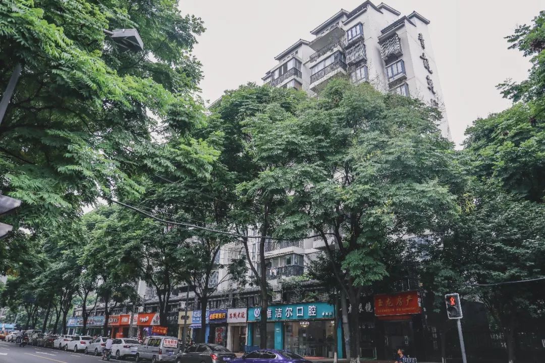 成都二十四城老照片,成都历史老照片