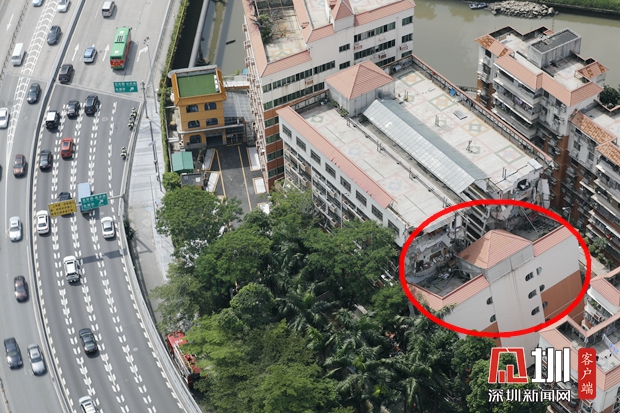 张玲事件后续,张玲事件真相